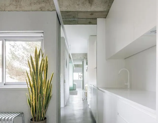 Appartamento Luz By Olala Homes *